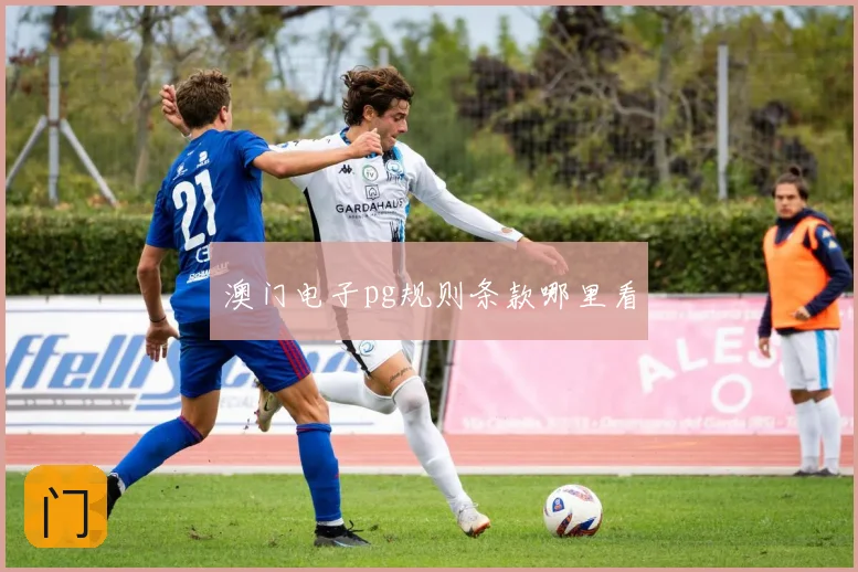 澳门电子pg规则条款哪里看