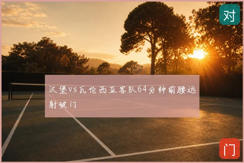 汉堡vs瓦伦西亚客队64分钟前腰远射破门